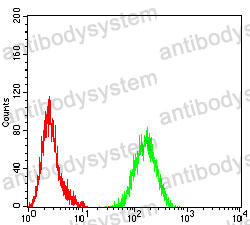 Anti-BAX Antibody (R3R52)