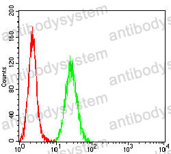 Anti-BAX Antibody (R3R53)