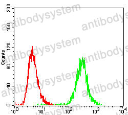 Anti-BAX Antibody (R3R55)