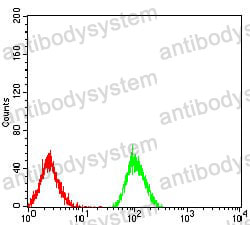 Anti-PPARA Antibody (R3R57)