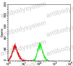 Anti-PPARA Antibody (R3R58)