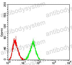 Anti-CD91/LRP1 Antibody (R3R61)