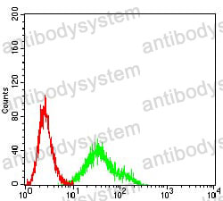 Anti-CD167a/DDR1 Antibody (R3R66)