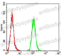 Anti-GM130/GOLGA2 Antibody (R3R69)