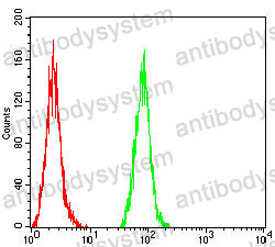 Anti-GM130/GOLGA2 Antibody (R3R68)