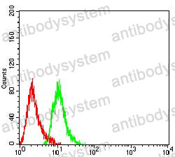 Anti-CD300c Antibody (R3R70)