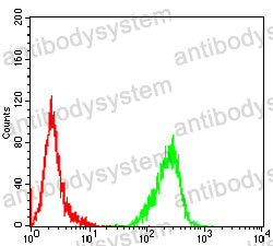 Anti-PPID Antibody (R3R72)