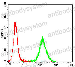 Anti-AHNAK Antibody (R3R77)