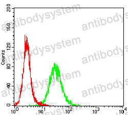Anti-AHNAK Antibody (R3R76)