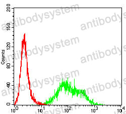 Anti-CD157/BST1 Antibody (R3R80)