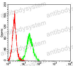 Anti-CD317/BST2 Antibody (R3R82)