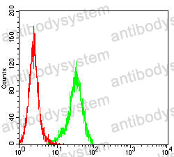 Anti-CD317/BST2 Antibody (R3R81)