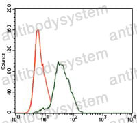 Anti-TWF1 Antibody (R3R84)