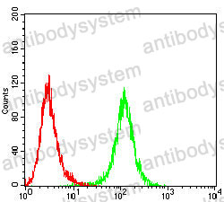 Anti-MERTK/MER Antibody (R3R86)