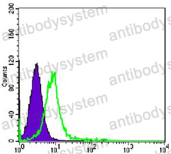 Anti-CHD3 Antibody (R3R87)