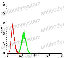 Anti-GRIN2A Antibody (R3R89)