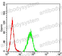 Anti-FAP/FAPalpha Antibody (R3R91)