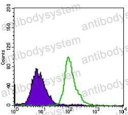 Anti-TP53BP1 Antibody (R3R92)
