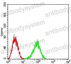 Anti-CD148/PTPRJ Antibody (R3R95)