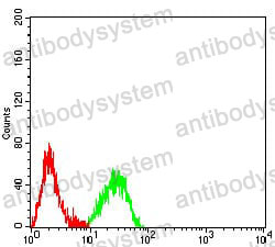 Anti-CD161/KLRB1 Antibody (R3R96)