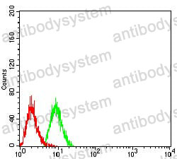 Anti-TRAF2 Antibody (R3R98)