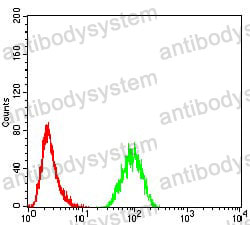 Anti-TRAF2 Antibody (R3R97)