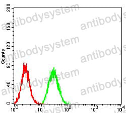 Anti-BNIP3 Antibody (R3S01)
