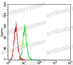 Anti-GRIK3 Antibody (R3S04)