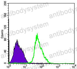 Anti-PRKAA1/AMPK alpha 1 Antibody (R3S10)