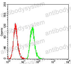 Anti-TARDBP/TDP43 Antibody (R3S14)