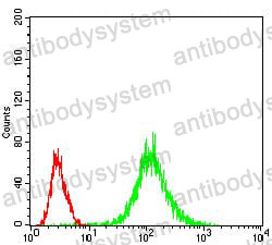 Anti-MAP2K5 Antibody (R3S16)