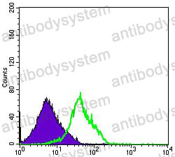 Anti-CD94/KLRD1 Antibody (R3S26)