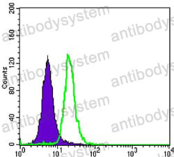 Anti-SCGB2A2 Antibody (R3S29)
