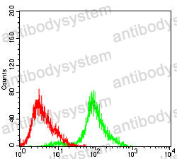 Anti-ATM Antibody (R3S31)