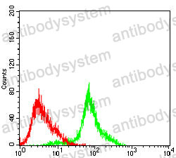 Anti-ATM Antibody (R3S32)