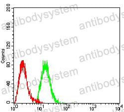 Anti-MTA1 Antibody (R3S35)
