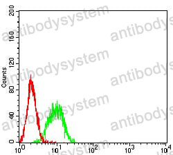 Anti-BTN1A1 Antibody (R3S40)