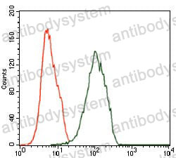 Anti-ILK Antibody (R3S41)