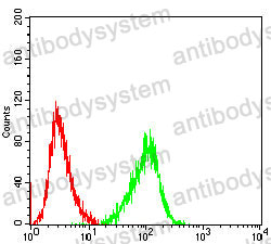 Anti-IKZF1 Antibody (R3S46)