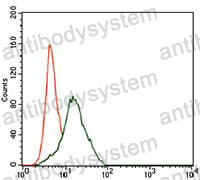 Anti-FZD5 Antibody (R3S52)
