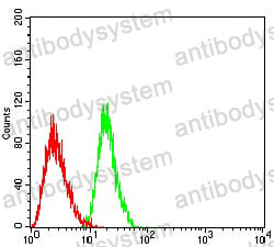 Anti-CD218a/IL18R1 Antibody (R3S53)