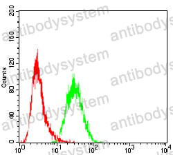 Anti-GAB1 Antibody (R3S55)