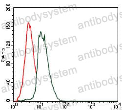 Anti-GAB1 Antibody (R3S54)