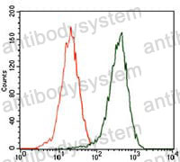 Anti-SQSTM1 Antibody (R3S58)