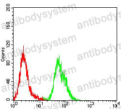 Anti-ATR Antibody (R3S63)