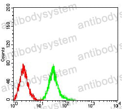 Anti-Phospho-4E-BP1 (Ser65) Antibody (R3S66)