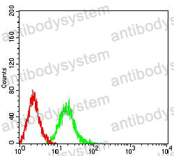 Anti-Phospho-4E-BP1 (Ser65) Antibody (R3S67)