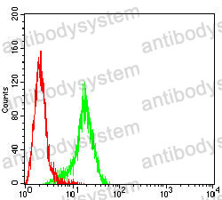 Anti-HDAC1 Antibody (R3S70)