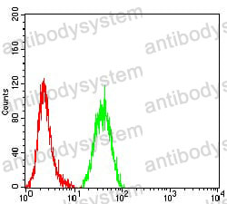 Anti-NEUROD1 Antibody (R3S79)