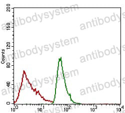Anti-CD166/ALCAM Antibody (R3S89)